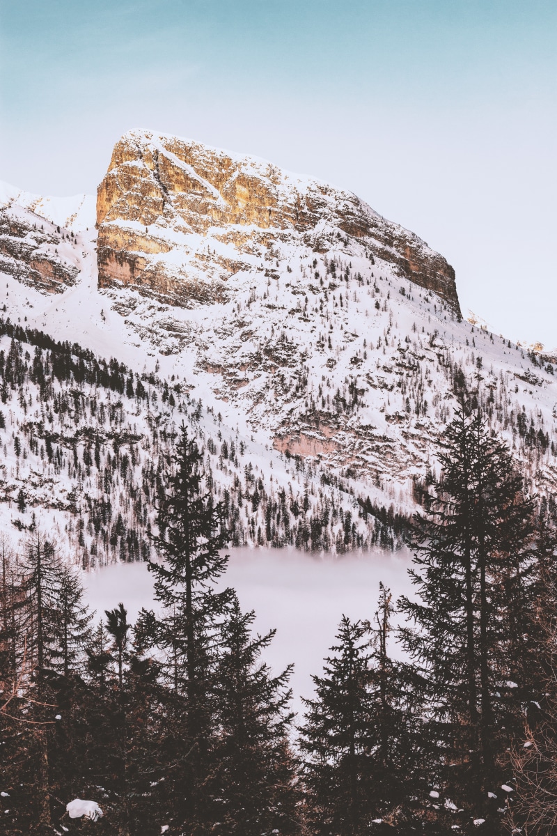 beauty in nature, trees, forest, nature, environment, mountains, snowcapped mountain, tree, cold temperature, pine tree, pinaceae, sky, no people, winter