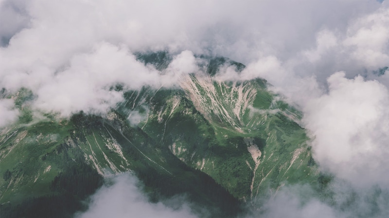 fog, tranquility, coniferous tree, environment, cloud - sky, pine woodland, beauty in nature, land, scenics - nature, mountain, tranquil scene, non-urban scene