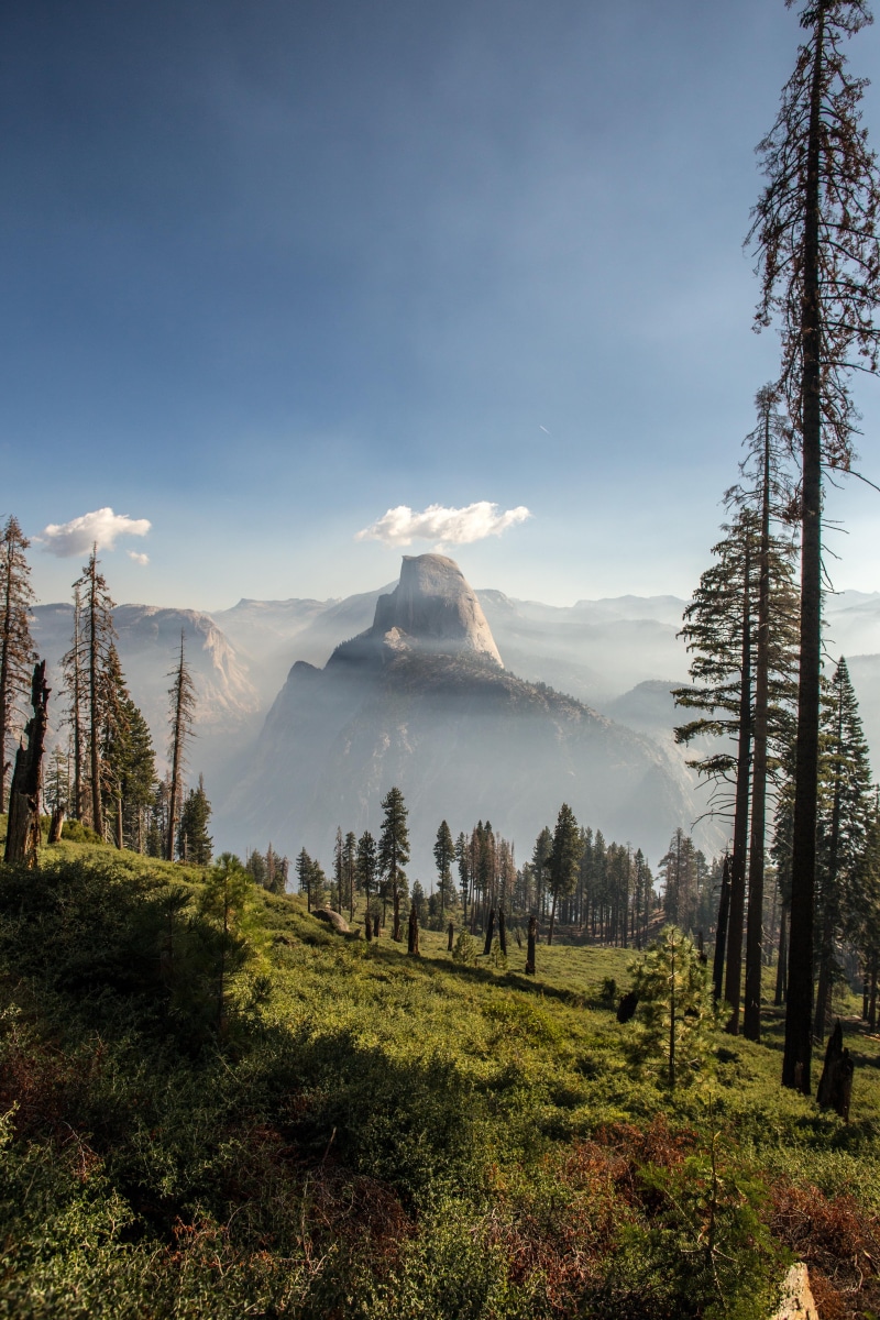 sky, smog, plant, travel destinations, forest, mountains, mountain peak, Yosemite National Park, travel, nature, pine, scenics - nature, pine tree, outdoors
