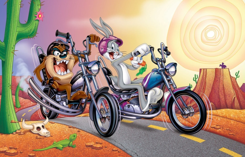 Motorcycle, Taz, Cartoon, Rabbit, Bugs Bunny, Tasmanian Devil, Looney Tunes, The Tasmanian devil, 1080P