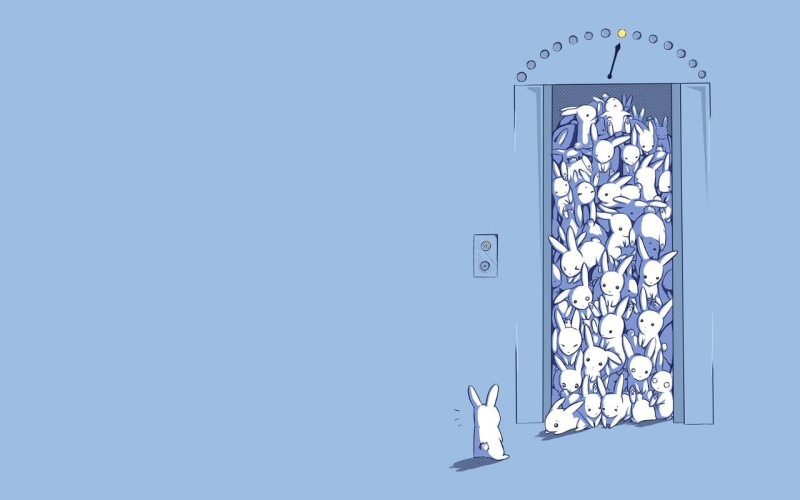 studio shot, animal, blue, art and craft, ideas, business, modern, rabbits, technology, design, nature, abstract, white color, architecture, white, wall - building feature