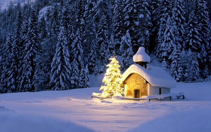New year, landscape, european Alps, architecture, winter, non-Urban Scene, built structure, village, cabin, forest, blue, fir Tree, woodland, frozen, scenics