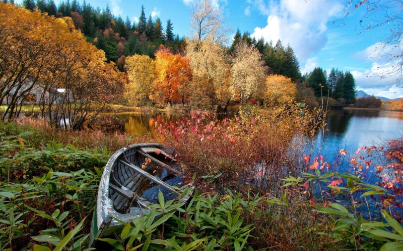 grey, Trees, 1080P, House, River, Forest, Broken, Autumn, Boat, wooden