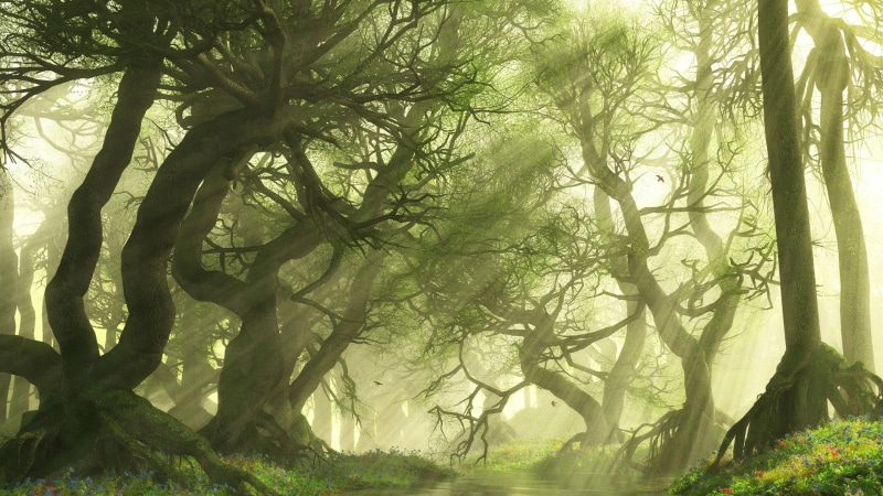 sunshine, leaf, 2560x1440, shining, sun, forest, green, rays, digital art, river, tree, 2K
