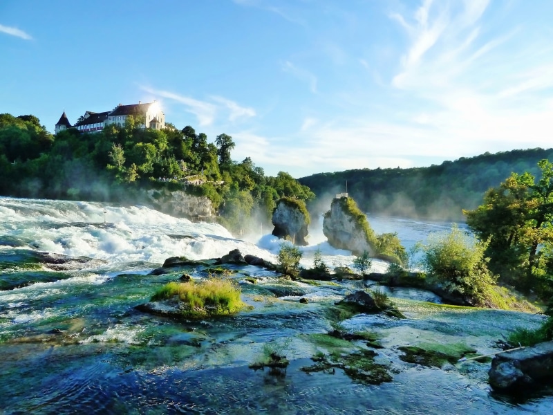 landscape, waterfall, water, motion, forest, power, summer, hot spring, no People, blurred motion, power in nature, danger, sunny, trees, color Image, schaffhausen