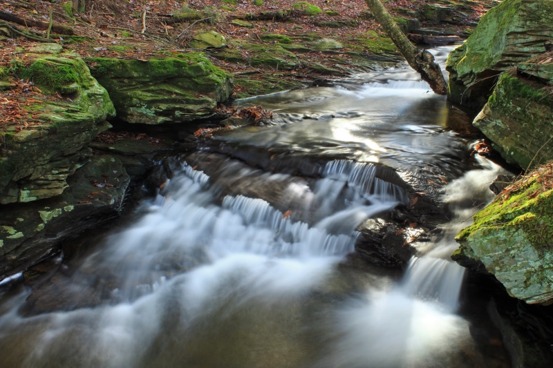 cascades, stream, rock - Object, freshness, 5K, green Color, Loyalsock State Forest, moss, flowing Water, Sullivan County, Fern Rock, trees, Nature Trail