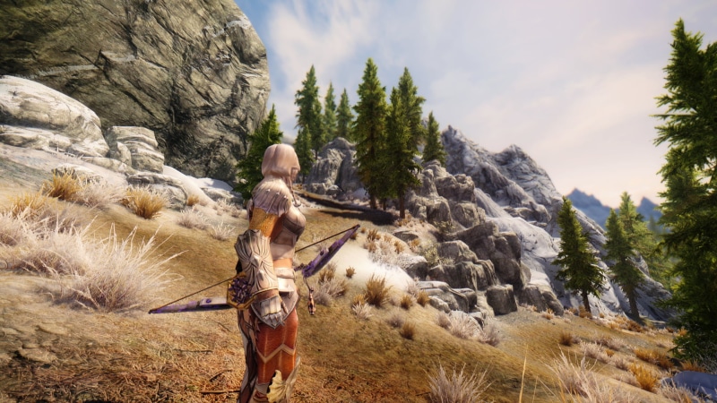 adult, gameplay, rock - object, rock, nature, land, lifestyles, outdoors, real people, plant, overwatch, rear view, 1080P, The Elder Scrolls V: Skyrim