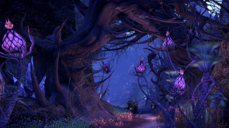 163, fantasy, online, game, adventure, tera, 1080P