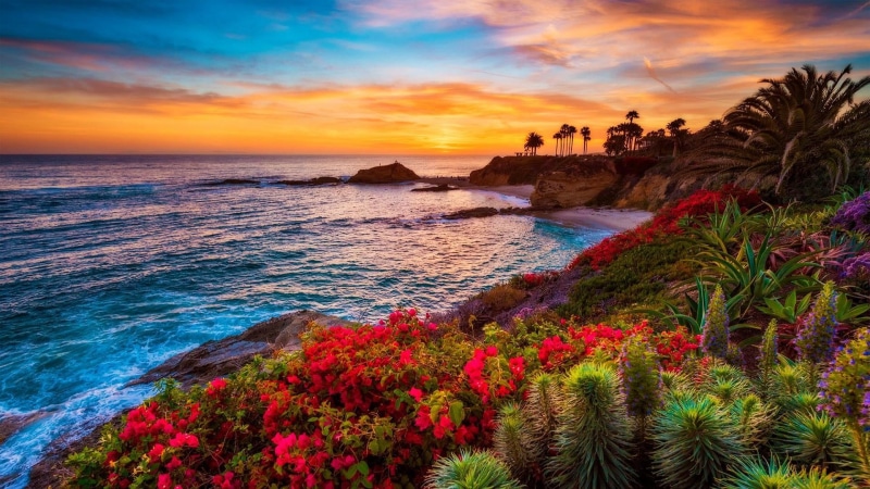 solid, plant, coast, horizon, bay, tropics, bushes, sea, beach, beauty in nature, tranquility, bush, seashore, land, palm, rock - object, sky, scenics - nature