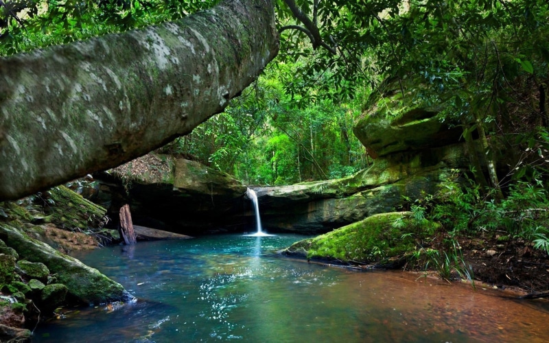 wallpapers, backgrounds, australia, landscape, green, mobile, turquoise, desktop, bushes, 1080P, tree, hd, moss, rocks, river, rainforest, nature, water