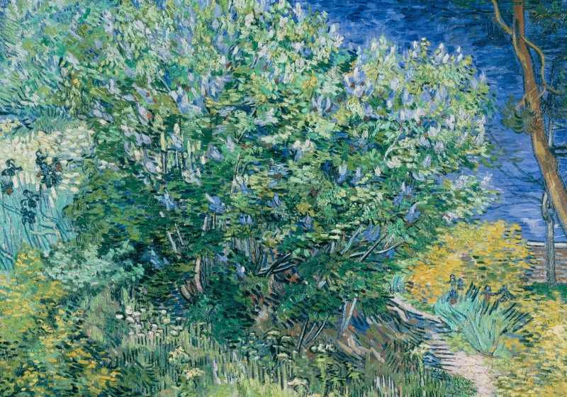 The Lilac Bush, picture, landscape, Vincent van Gogh, Vincent Willem van Gogh, 5K