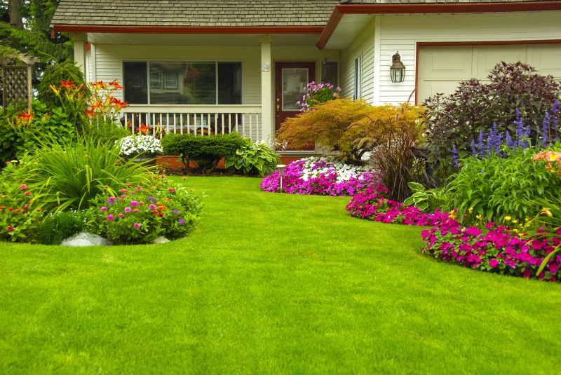 formal Garden, window, residential District, gardening, summer, beauty in nature, landscaped, plant, residential Building, day, lawn, flower arrangement