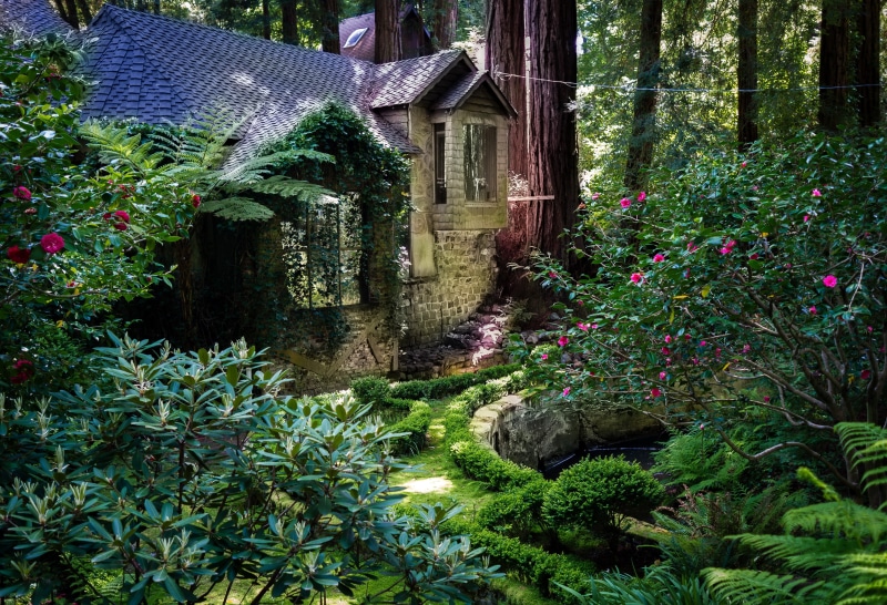 residential district, gray, cabin, architecture, plants, growth, water, 4K, tree, green color, flowers, plant, land, ferns, forest, building, day, built structure