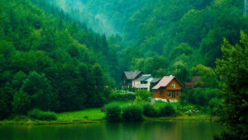 shrubs, houses, natural, green natural scenery, green, forest, 1080P, streams, trees, scenery