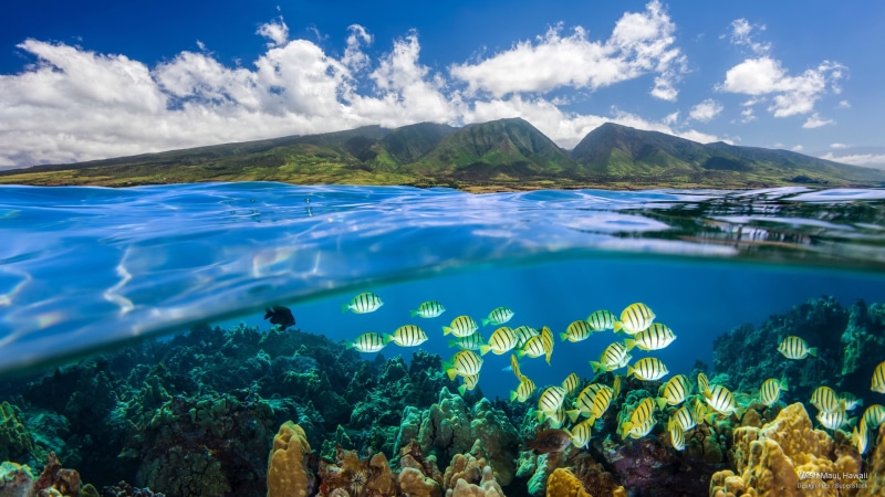 Islands, 2K, west, hawaii, maui