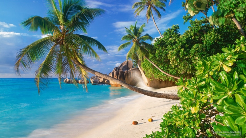 la, seychelles, island, digue, Islands, 2K