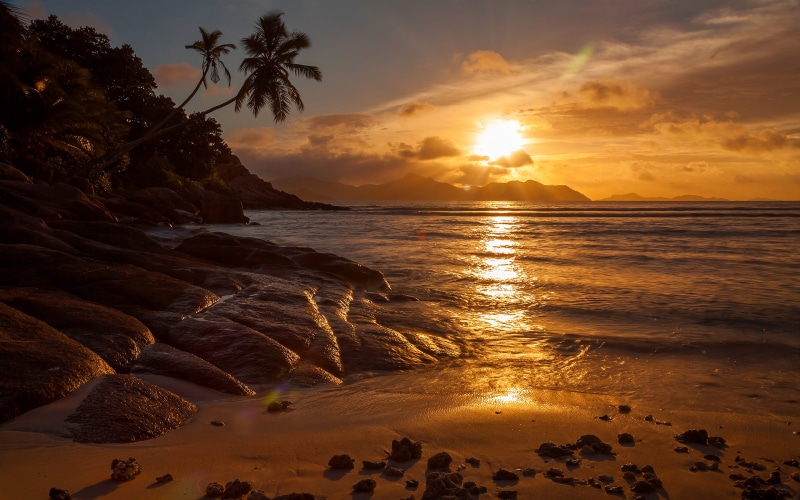 phones, sand, digue, desktop, paradise, hd, sunlight, 4K, seychelles, mobile, water, sky, sunset, tranquility, no people, beach, island, gold, sun, laptop