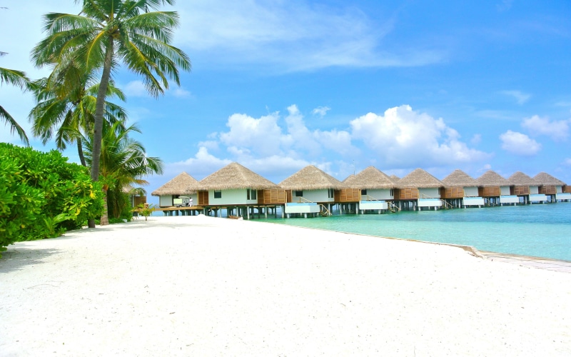 maldives, sea, white, coconut, tropical climate, photo, sand, sky, nature, atoll, tree, beach, thatched roof, turquoise colored, building, resort, indian