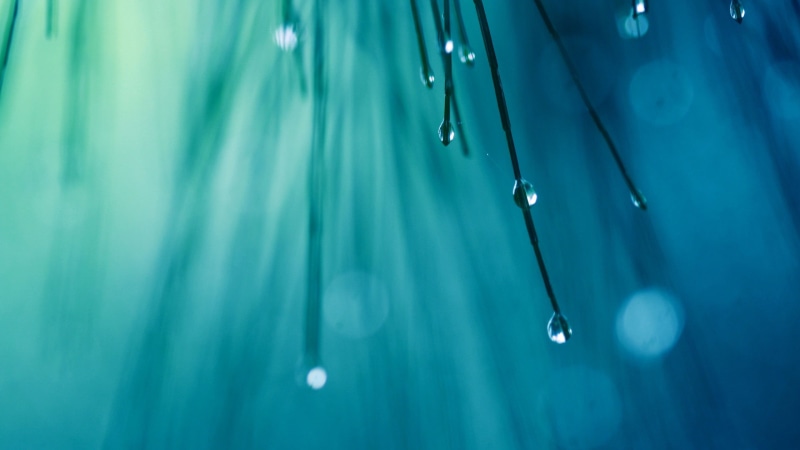 black groud, dew, turquoise colored, light - Natural Phenomenon, no People, backgrounds, shiny, refraction, beauty in nature, fragility, rain, purity, blue