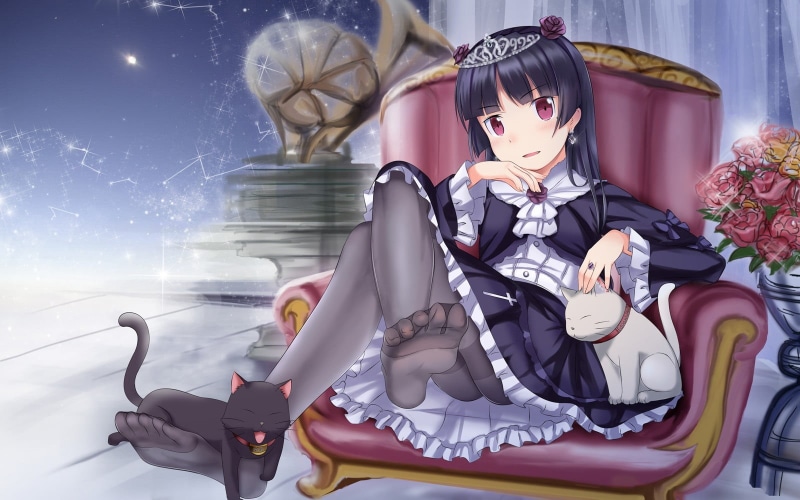 male likeness, disguise, women, fun, mask, female likeness, long hair, costume, portrait, anime girls, indoors, looking at camera, celebration, front view