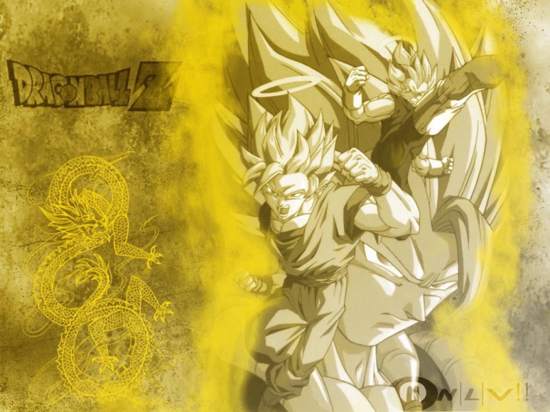 fusion, anime, DBZ, goku abd vegeta, dragonball, 480P, art, hd
