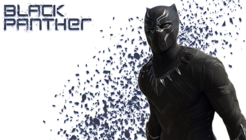 hood - clothing, lifestyles, Avengers: Infinity War, waist up, real people, indoors, casual clothing, Movie, Black Panther (Marvel Comics), unrecognizable person