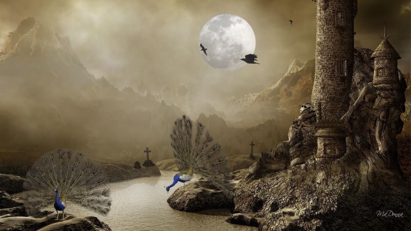 1080P, water, moon, gothic, castle, moat, peacock, fantasy, birds, full moon, mysterious, ravens, goth