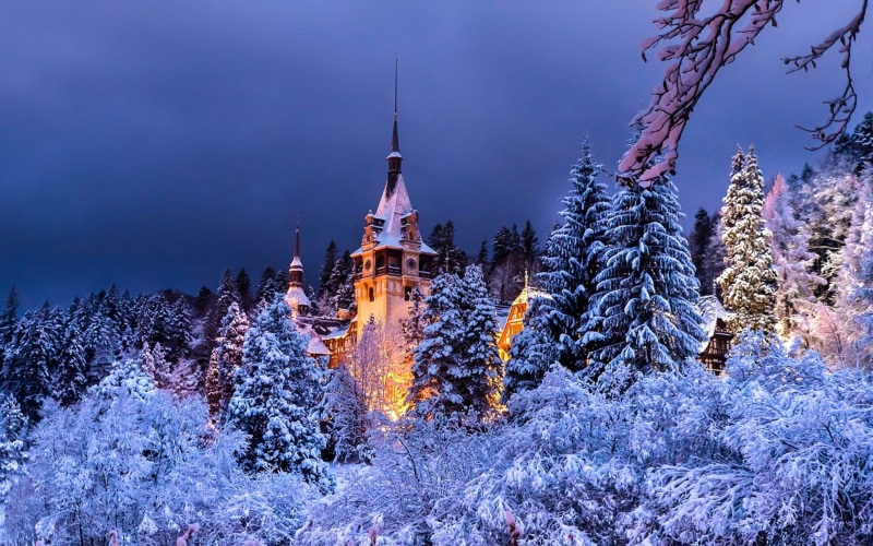 white, brown, Winter, 1080P, Night, Snow, Sinaia, Trees, Romania, Castle, Lights, Peles