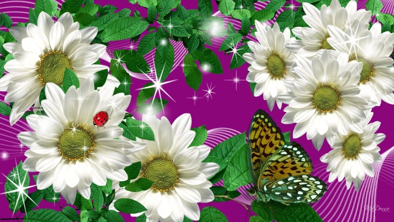 lady bug, flowers, stars, ladybug, firefox persona, leaves, chamomile, 1080P, 3d and abstra, butterfly, bright