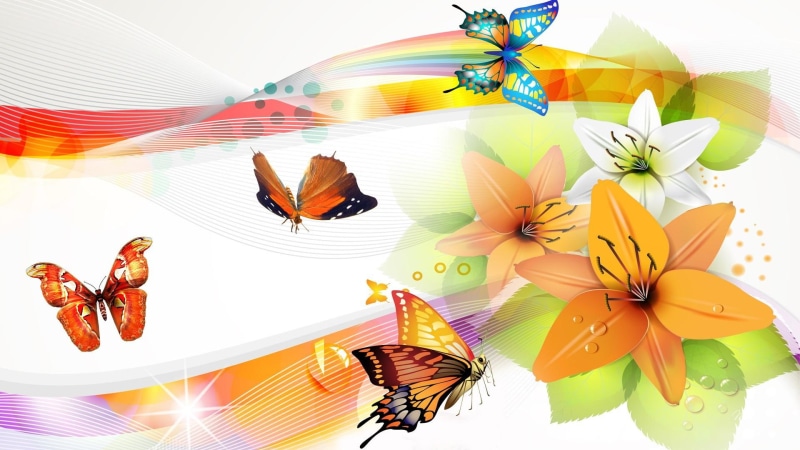 butterfly, orange, waves, colorful, papillon, butterflies, bright, lilies, flowers, lines, stars, 1080P