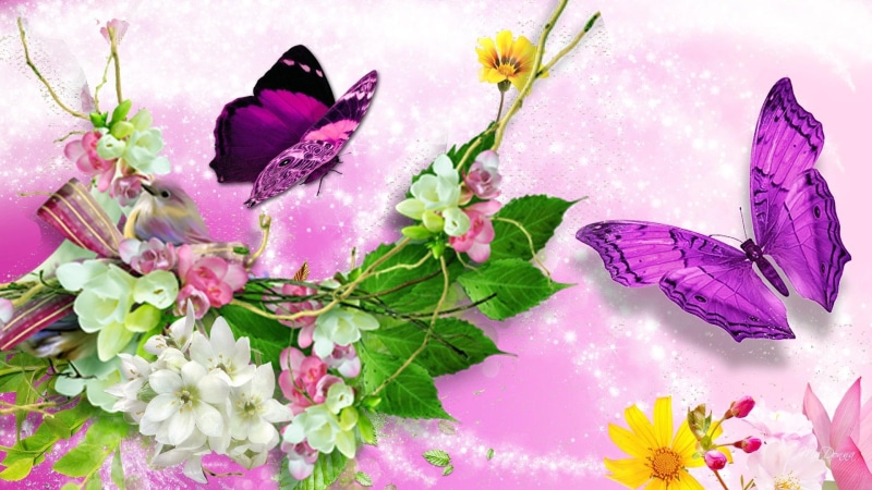 plumeria, twinkle, glitter, butterflies, scintillate, 1080P, bird, flowers, papillon, bright, gleam, glint, leaves, lustre, butterflie