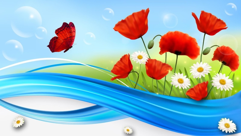 butterfly, summer, poppy, bright, chamomile, streaks, garden, poppies, daisies, bubbles, 1080P, spring, wild flowers