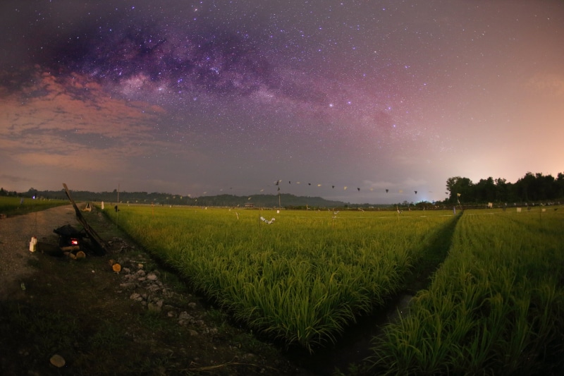 Canon, agriculture, grass, Field, Landscape, Fisheye, Brunei, green, Bulb, sky, Padi, Long_Exposure, nature, Junction, rural Scene, fields, nighttime, Night_Photography