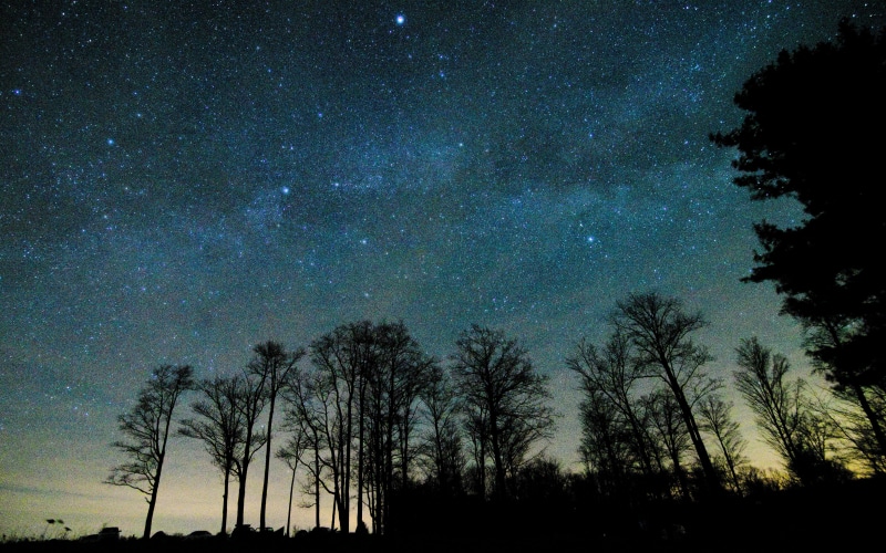 low angle view, nature, silhouette, tree, majestic, idyllic, growth, united states, nightsky, cherry springs state park astronomy observation field, space