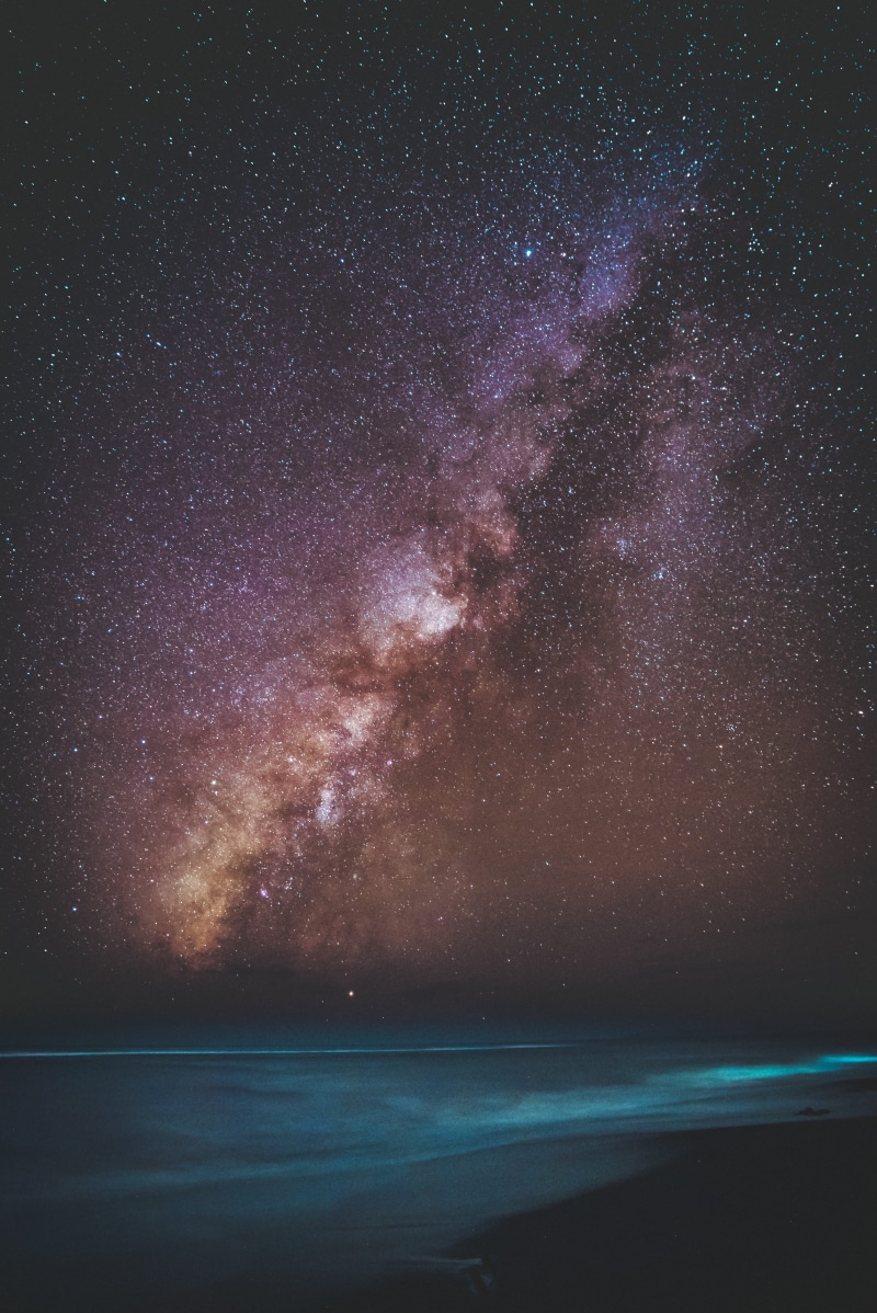 explore, science, sea, night, tree, constellation, sky, star Shape, stratosphere, night sky, starry sky, astronomy, star Field, nature, backgrounds