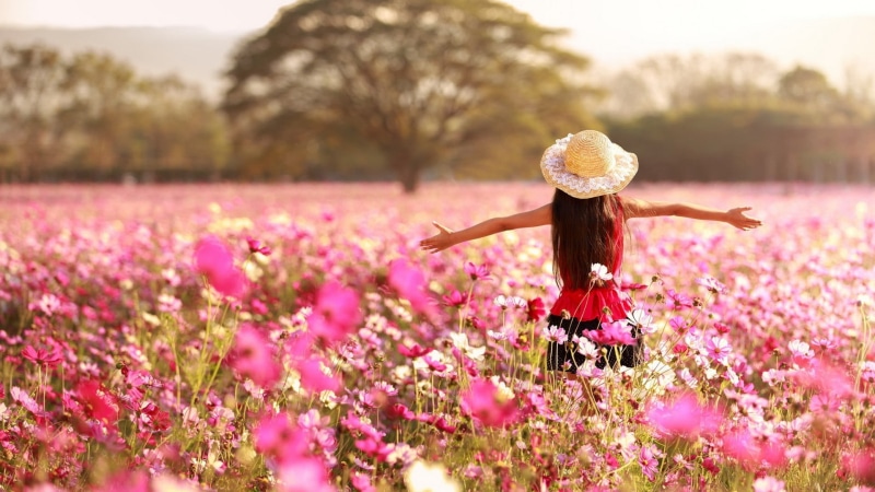 plant, flowers, outdoors, childhood, arms outstretched, freshness, landscape, child, one person, Cosmos (flower), girls, hair, freedom, field, flower, pink color