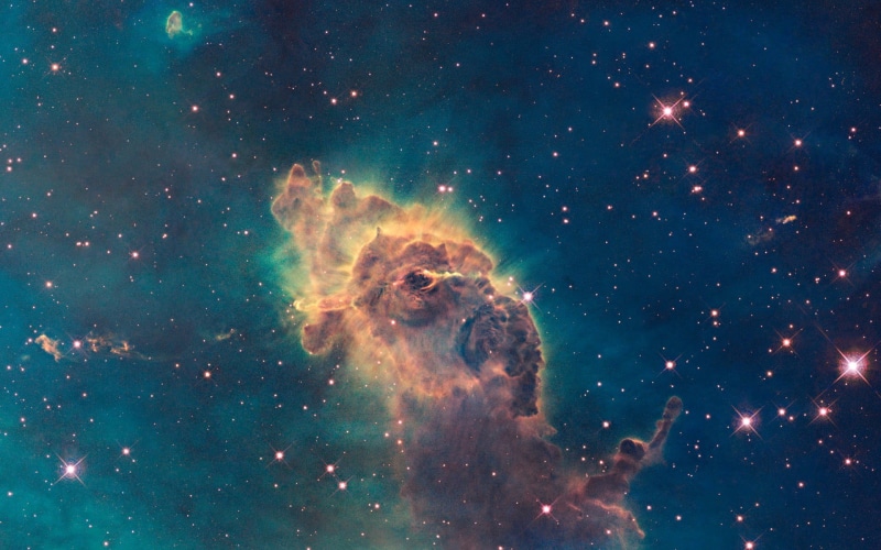 carina, looking at camera, illuminated, nebula, sky, one animal, star - space, no people, illustration, night, outdoors, galaxy, 1080P, astronomy, animal wildlife