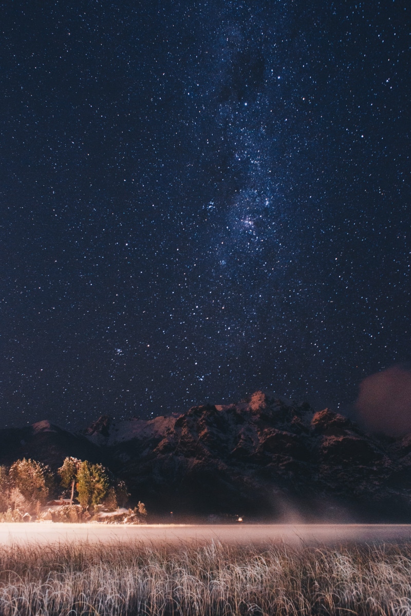 tree, argentina, night, tranquility, stars, nite, star, astrophotography, star field, beauty in nature, plant, nature, outdoors, environment, space, scenics - nature