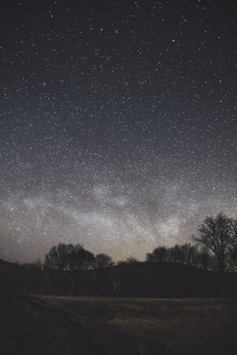 5K, star field, montreal, night, beauty in nature, scenics - nature, star, tree, star - space, space and astronomy, tranquil, universe, night sky, no people