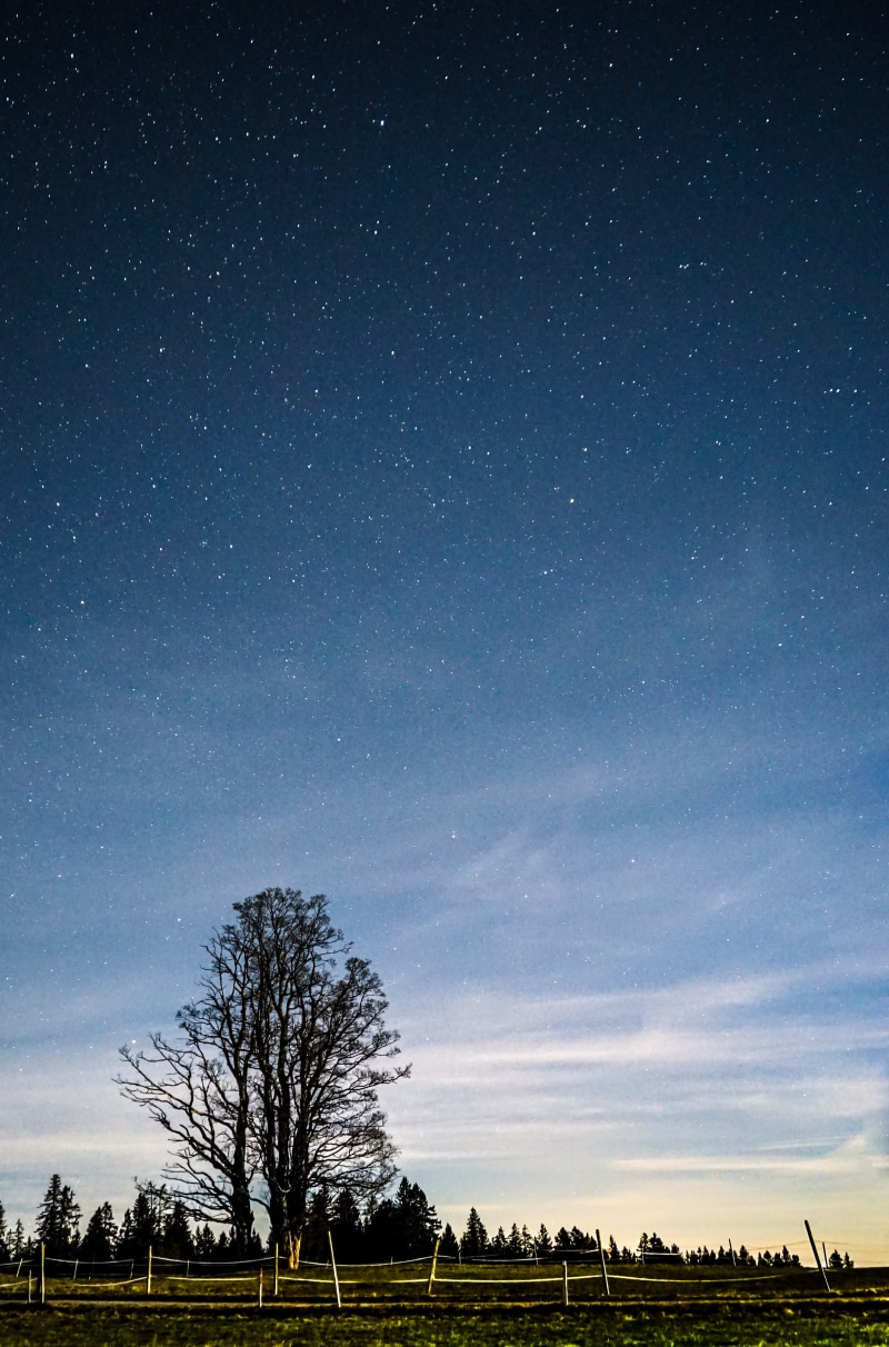 astronomy, night shot, tree, no people, le locle, universe, sonya7ii, space, land, outer space, landscape, environment, milky way, beauty in nature, winter