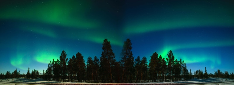 scenics - nature, scenics, mystery, star night, cold temperature, power in nature, beauty in nature, wintry, non-urban scene, photography, pine woodland