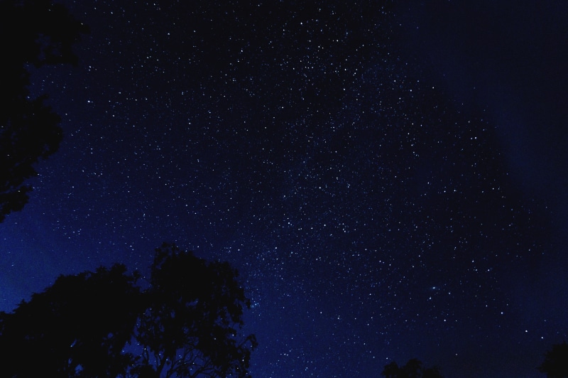 milky way, stars, low angle view, outdoors, star field, sky, no people, starlight, star - space, tranquil scene, idyllic, scenic, star, star gazing, plant