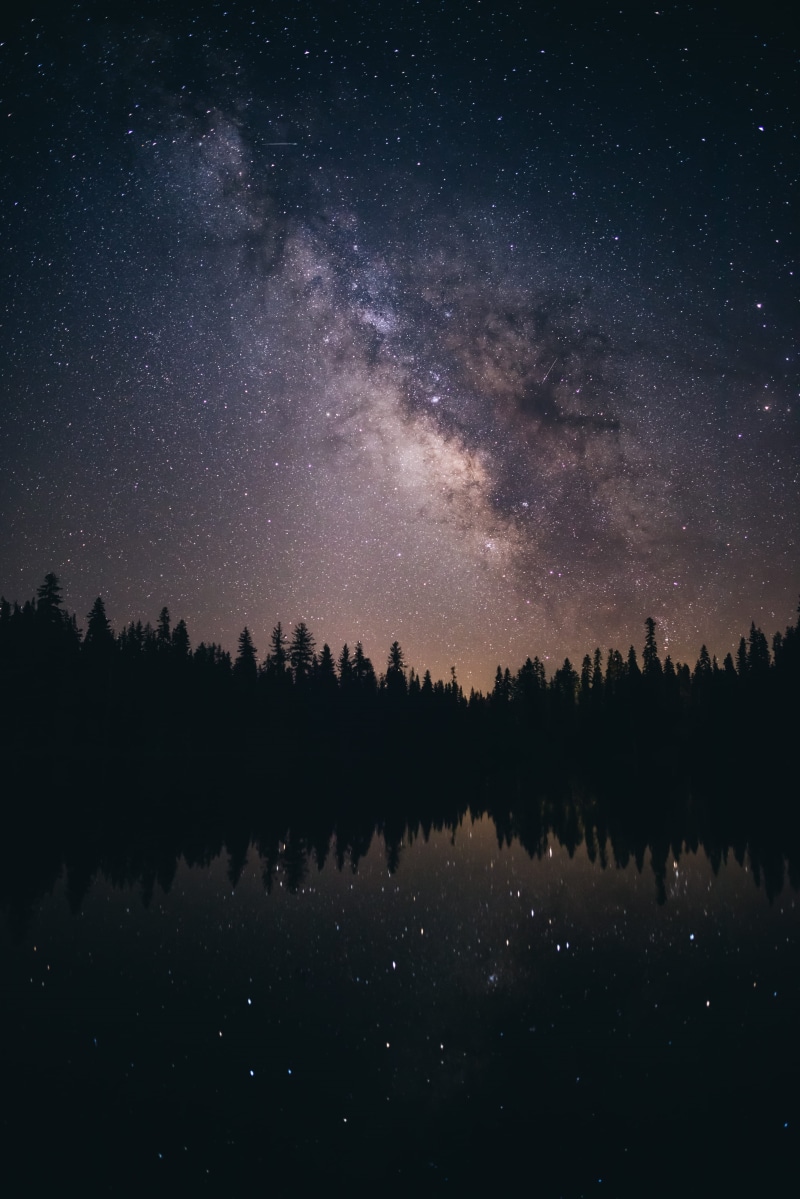 forest, night, star Field, solar System, astronomy Telescope, no People, black Color, purple, space, canada, light - Natural Phenomenon, science, cosmos Flower