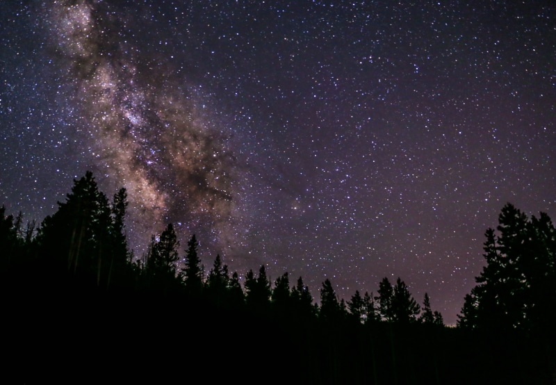 tree line, star, outdoor, night, space, atmosphere, space and astronomy, coniferous tree, 5K, beauty in nature, starry, milky way, evergreen