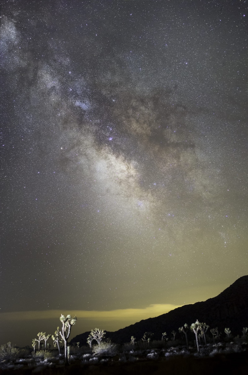 star - space, constellation, beauty in nature, joshua tree, way, milky way, tree, outdoors, star, science, desert, no people, galaxy, sky, clean, tranquility