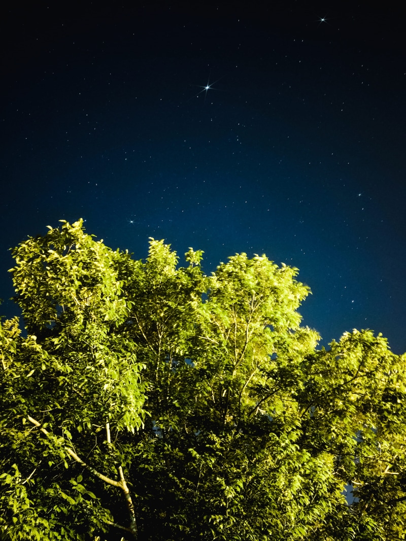 astronomy, space and astronomy, idyllic, 4K, blue, scenics - nature, star field, astrophotography, nature, mobile, plant, green, beauty in nature, stars