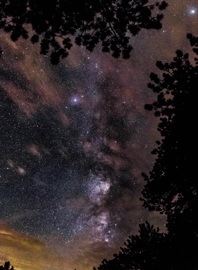 tranquility, galaxy, tranquil scene, nebula, tree, milky, starry sky, low angle view, outdoors, star field, scenics - nature, milkyway, no people, space and astronomy