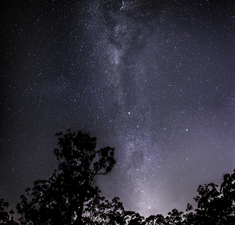 nature, night, scenics - nature, plant, starry, tranquil scene, silhouette, no people, star - space, beauty in nature, solar, star, night sky, milky way