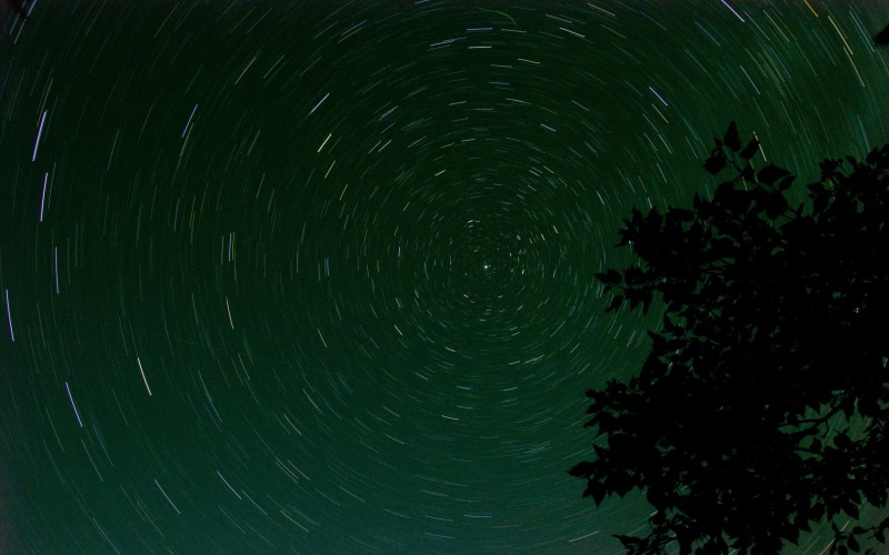 star gazing, starry sky, circle, stars, volume, tree, pattern, 2K, symmetry, green, nature, branch, night