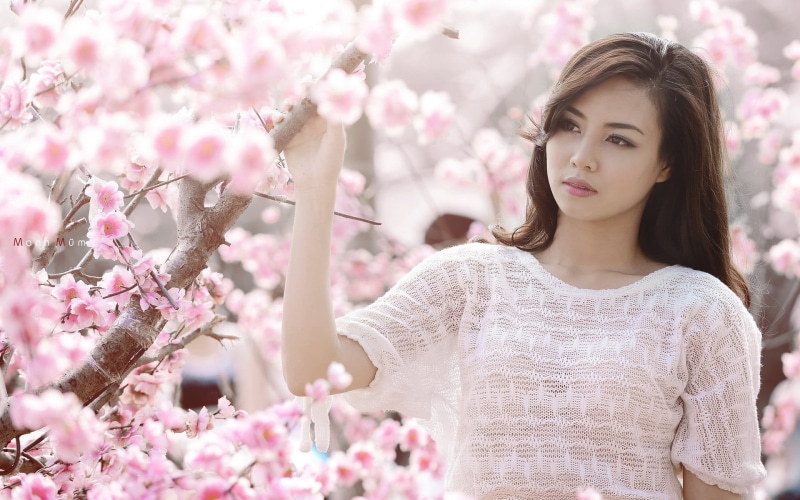 flowers, hair, Japanese women, front view, young adult, portrait, beautiful woman, 1080P, beauty in nature, flowering plant, flower, pink color, s, sweater